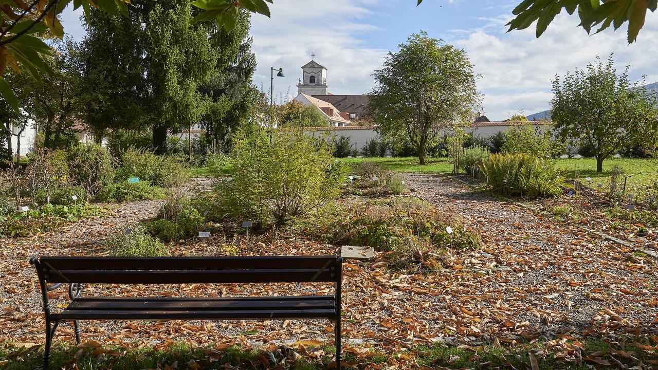 Klosterhotel Kreuz Mariastein Екстер'єр фото